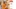 Coretava Integration with Zid